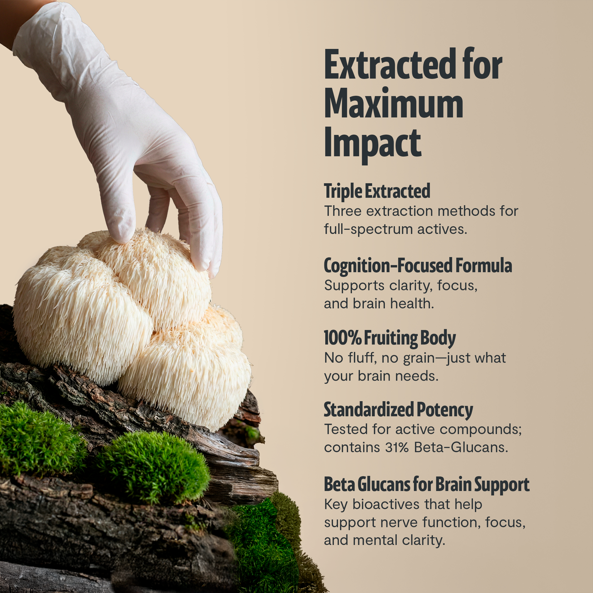 Organic Lion’s Mane Capsules